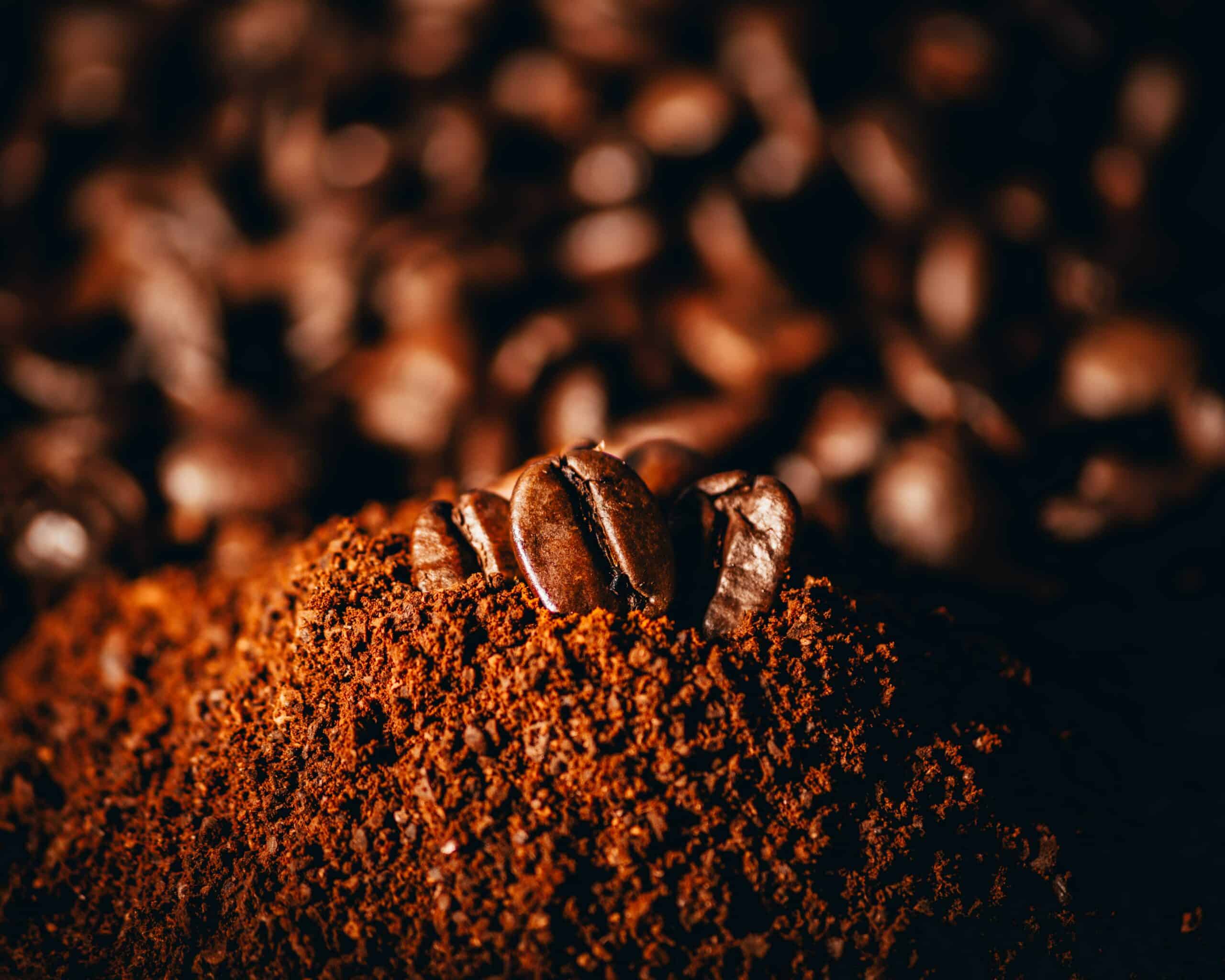 Certifierad cacao